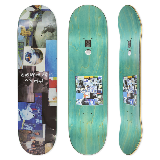 POLAR SKATE - Everything Is Normal B