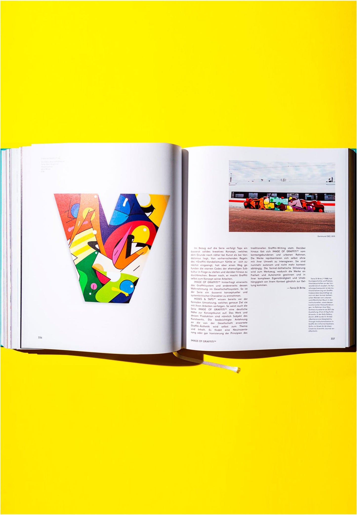 Urban Media -  Graffiti Avantgarde di Moses & Taps
