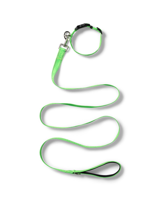 NO PROBLEBO - NP Pet Lead Black