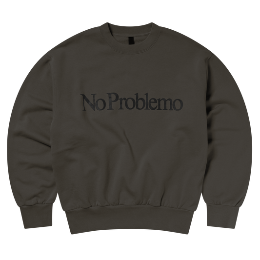 NO PROBLEMO - Sweatshirt Iron