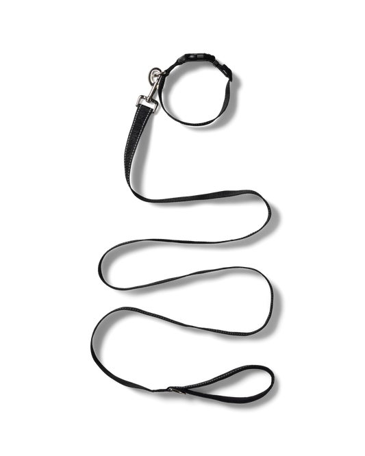 NO PROBLEBO - NP Pet Lead Black