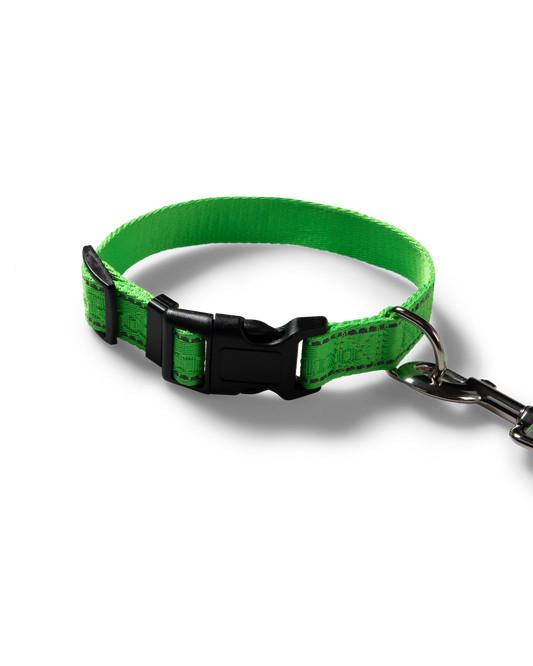NO PROBLEBO - NP Pet Lead Black