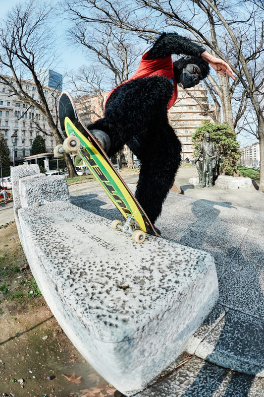 IUTER - XIUTER SKATE DECK